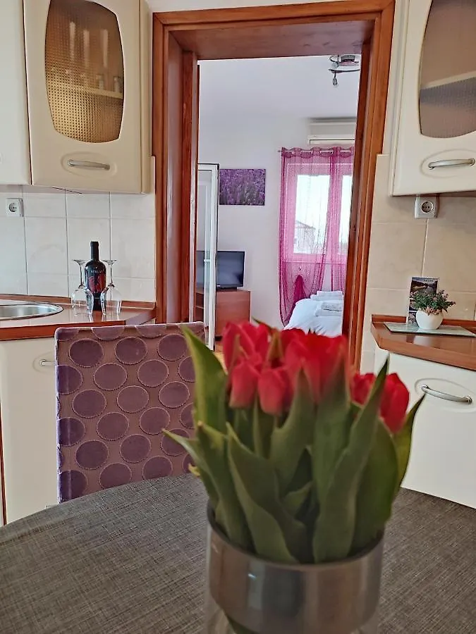 Apartment Dario Zadar