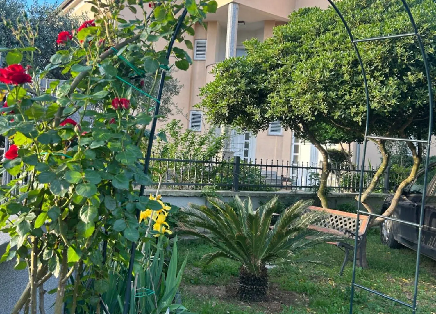 Apartment Dario Zadar