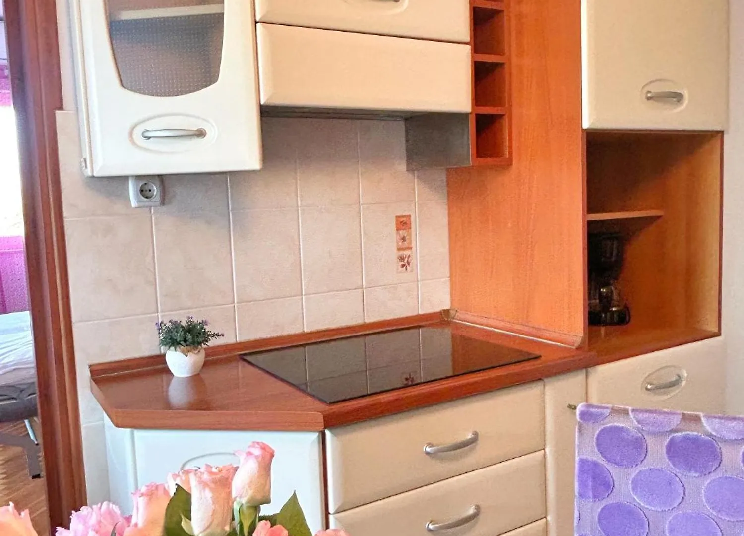 Apartment Dario Zadar Croatia
