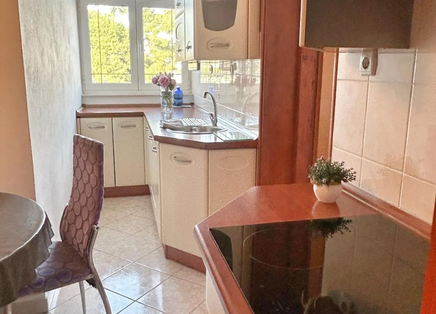 Apartment Dario 扎达尔 克罗地亚